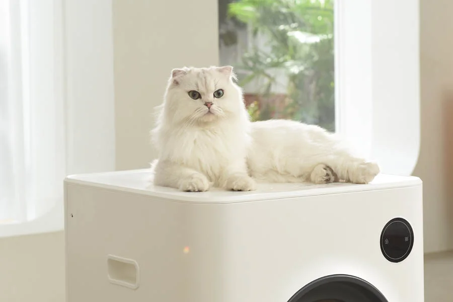 no scoop litter box